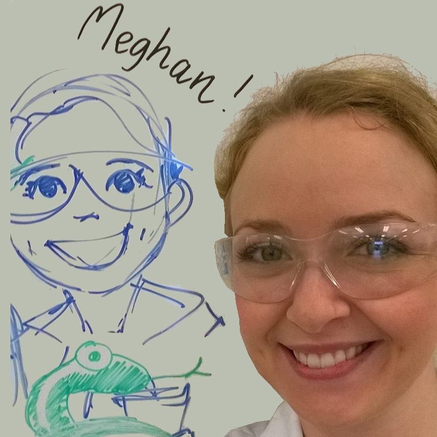 Meghan Castelli