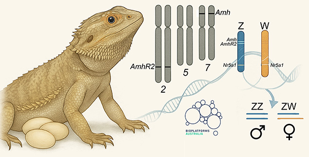 Graphical Abstract_small.jpg