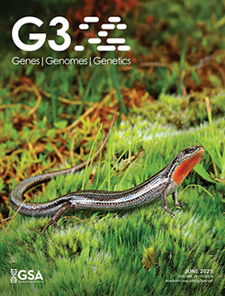 m_g3journal_15_6cover.jpeg